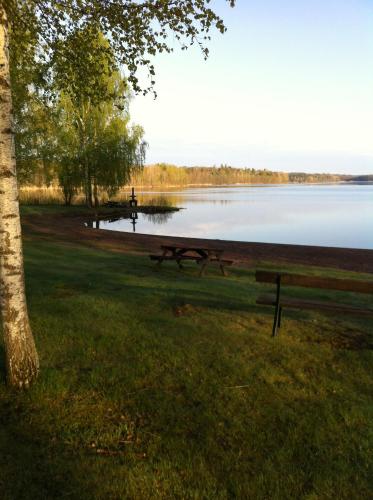 a picnic table in the grass next to a lake at Odensvi Vandrarhem in Odensvi