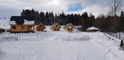 Domki Zielony Raj Rabka- Zdrój en invierno