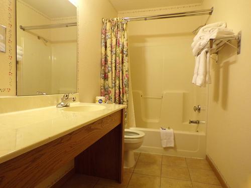 ein Bad mit einem Waschbecken, einem WC und einer Dusche in der Unterkunft Morton Inn in Redwood Falls
