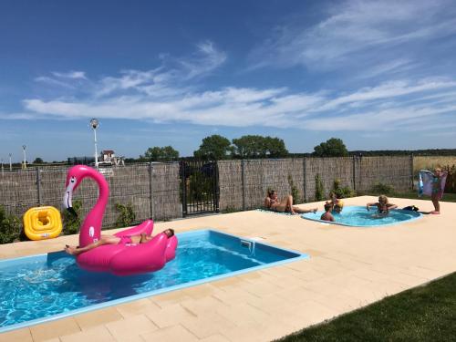 grupa ludzi bawiących się w dwóch basenach w obiekcie Lawendowa Wyspa Klub Nadmorski w Ostrowie