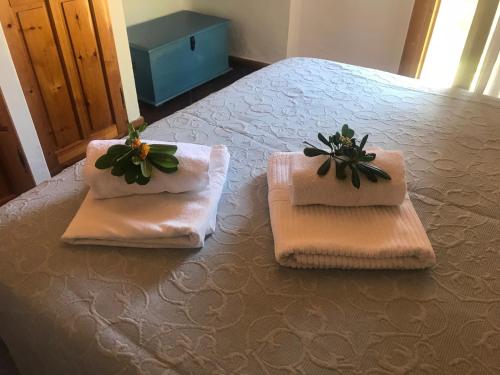 Villa Satta photo 3
