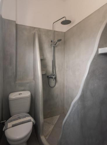 a bathroom with a toilet and a shower at Polyegos View in Pollonia
