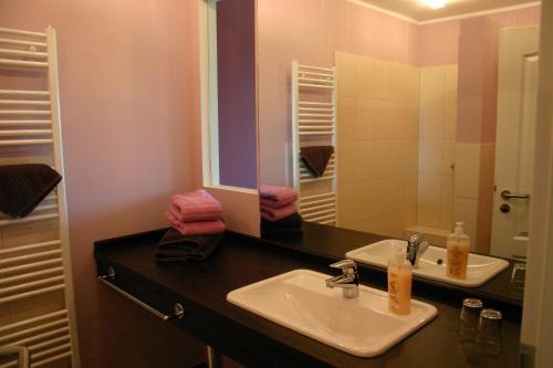 a bathroom with a sink and a mirror at Hotel Fauna in Breiholz