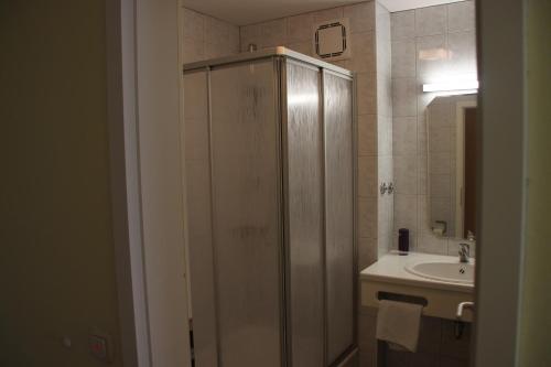 een badkamer met een douche en een wastafel bij Gasthof Hotel zur Post in Erlau