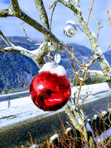 Hinterwalderhof – Photos 3