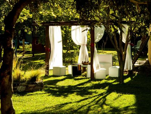 an arch with white curtains and a table in the grass at Complejo Turistico Los Troncos in San Rafael