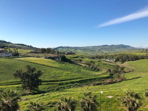a view of a green field with palm trees at Tenute D'Angelo - Holidays, Relax & Wellness - Casa vacanze ad Agrigento in Agrigento