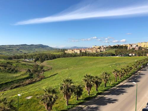 a road with palm trees on the side of a hill at Tenute D'Angelo - Holidays, Relax & Wellness - Casa vacanze ad Agrigento in Agrigento
