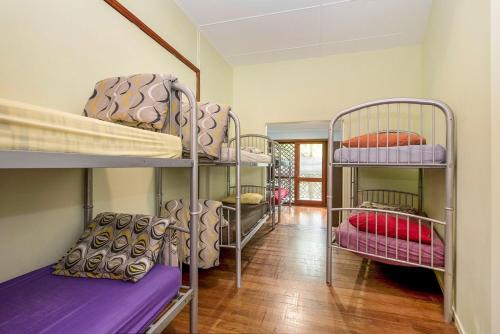 um quarto com um monte de beliches em Port Macquarie Backpackers em Port Macquarie