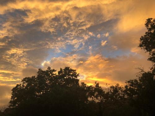 a cloudy sky with trees in the foreground at Perfect Country-Side Get-Away in Boerne
