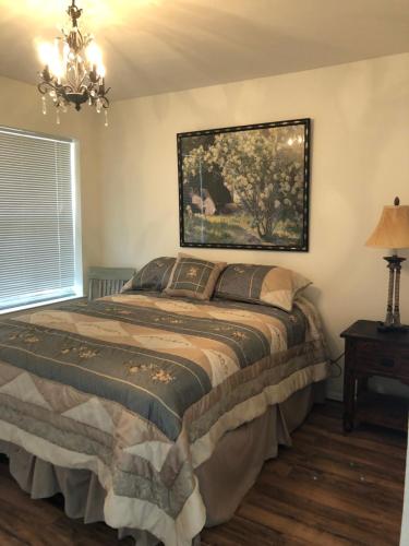 a bedroom with a bed and a chandelier at Perfect Country-Side Get-Away in Boerne