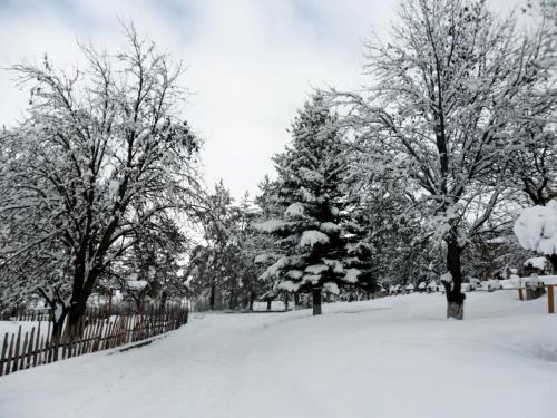 Gallery image of Tezh Ler Resort in Shahumyan