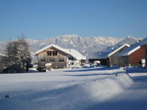 a snow covered street with buildings and mountains in the background at Apart Greber in Andelsbuch