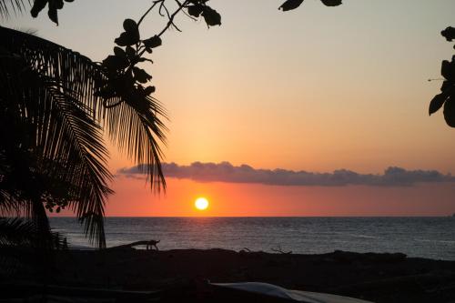 a sunset on the beach with a dog in the foreground at Cabinas carol in Pavones