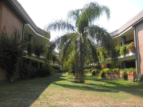 a palm tree in a yard next to a building at CATANGE HOTEL in Charata