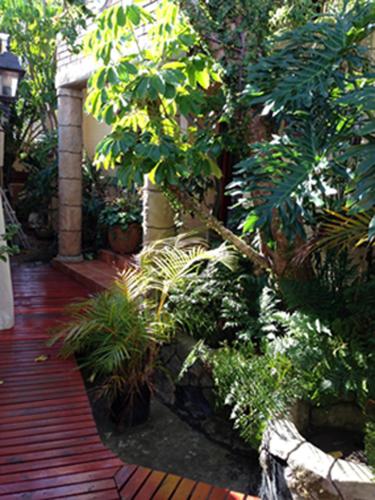 a garden with lots of plants and a wooden walkway at Goblin's Mead in Edgemead