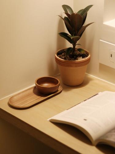 a potted plant sitting on a table next to a book at Tong Tong Petit Hotel in Seoul