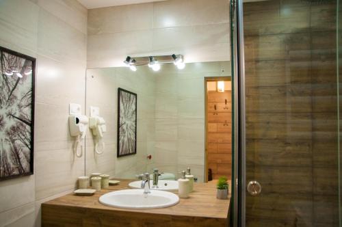La salle de bains est pourvue d'un lavabo et d'une douche. dans l'établissement Apartment Near Church, à Tbilissi