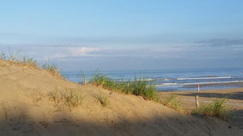 a sand dune with the ocean in the background at Villa Zeezicht in Noordwijk