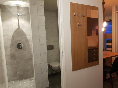 a bathroom with a toilet and a walk in shower at Villa Zeezicht in Noordwijk