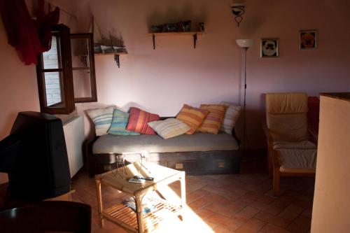 Maremma 1 – Photos 5