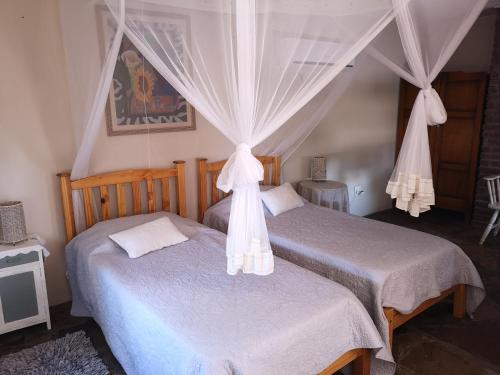 een slaapkamer met 2 bedden en klamboes bij Terra Rouge Guestfarm & Sonstraal Farmhouse in Koës