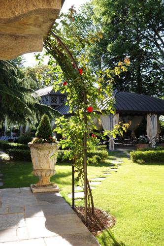 a tree with red flowers in a vase in a yard at Hotel Villa Beccaris in Monforte dʼAlba