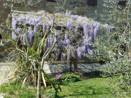 Maremma 3 – Photos 5