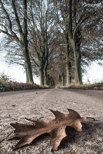 Fotografie z fotogalerie ubytování Le Doux Ny v destinaci Stoumont
