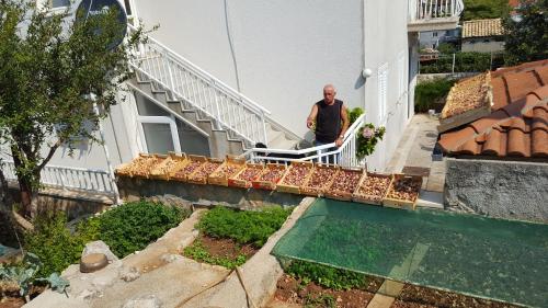 a man standing on the stairs of a house at Apartments Pina in Cavtat