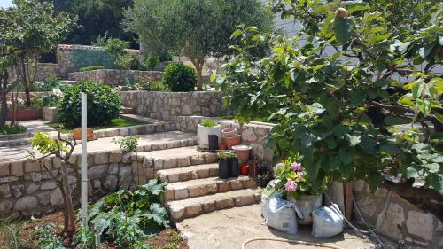 a garden with a stone wall and stairs with a tree at Apartments Pina in Cavtat