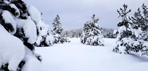 Previja Zlatibor Chalet pozimi