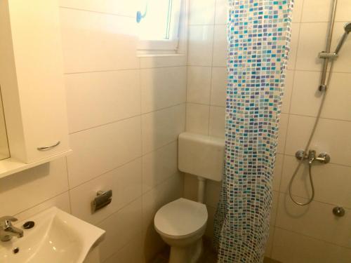 a bathroom with a toilet and a glass shower curtain at Apartments Uvala Murtar in Jezera