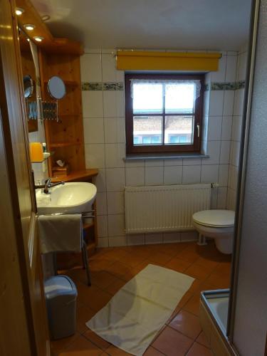 a bathroom with a sink and a toilet and a window at Ferienhof Beim Kemptar in Bad Hindelang