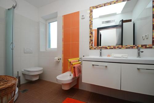 a bathroom with a sink and a toilet and a mirror at Villa Olea in Koromačno