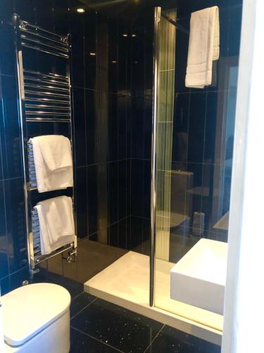 a bathroom with a shower and a toilet and a sink at The Lilly Restaurant With Rooms in Llandudno