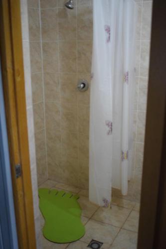 a bathroom with a shower with a green floor at Constancia in Kamianets-Podilskyi