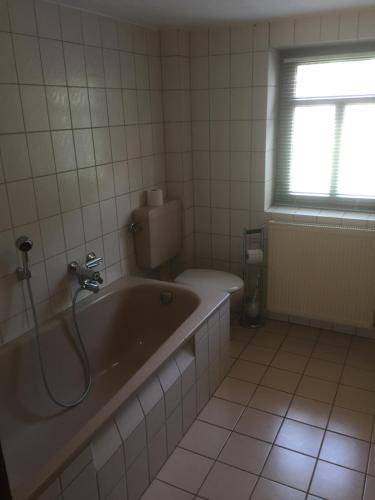 a bathroom with a tub and a toilet and a window at Knüllhotel Tann-Eck in Knüllwald