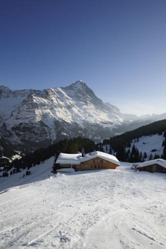 a building on top of a snow covered mountain at Alpinhotel Bort in Grindelwald