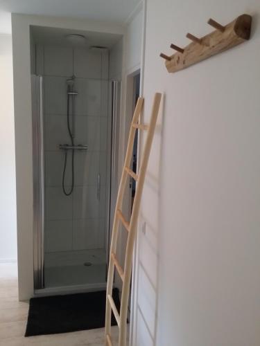 a ladder leading to a shower in a bathroom at Gastenverblijf appartement tussen Alkmaar en Hoorn in Oterleek