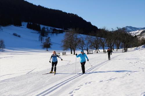 Gallery image of Sportpension Goldegg in Goldegg