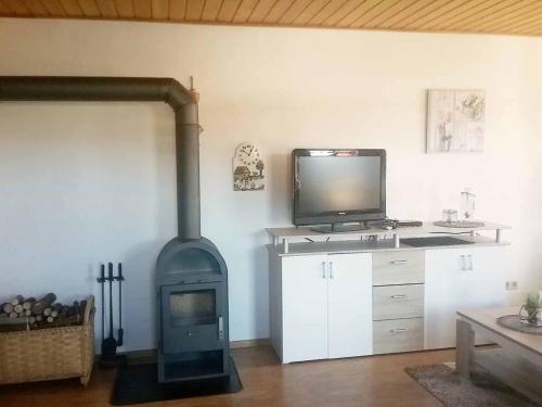 a living room with a fireplace with a tv and a stove at Ferienwohnung Stöberl Gerda in Lohberg