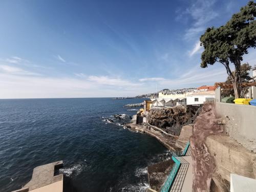 Studio in Funchal - Teleferico