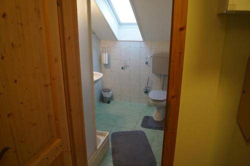 a bathroom with a toilet and a sink and a skylight at Haus Bergblick in Maiersdorf