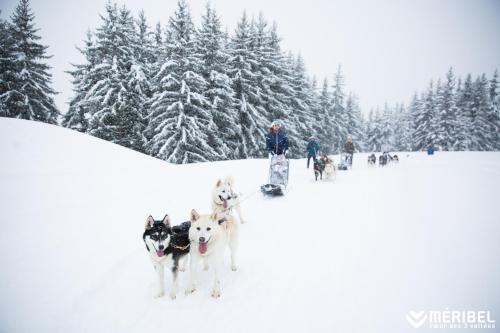 a group of dogs pulling a sled in the snow at Hotel La Chaudanne in Méribel
