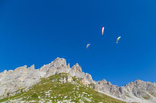 two birds are flying over a mountain at Hotel La Chaudanne in Méribel