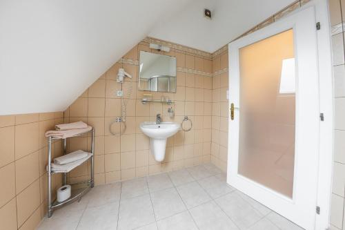 a bathroom with a sink and a shower at Villa A. Malka in Poděbrady