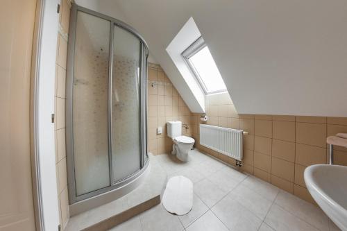 a bathroom with a shower and a toilet and a sink at Villa A. Malka in Poděbrady
