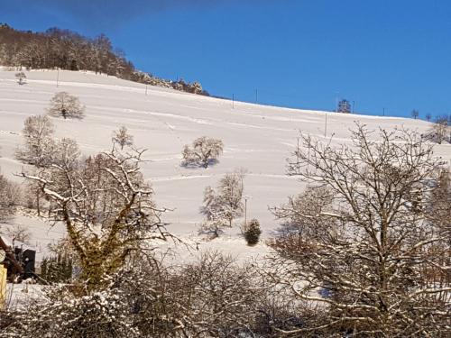 a snow covered hill with trees on it at Hôtel Au Vieux Moulin in Lapoutroie