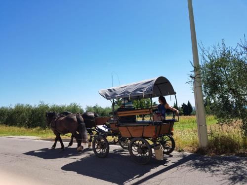a horse pulling a horse drawn carriage on a road at Lamasu RioVerde - Lago di Garda in San Felice del Benaco